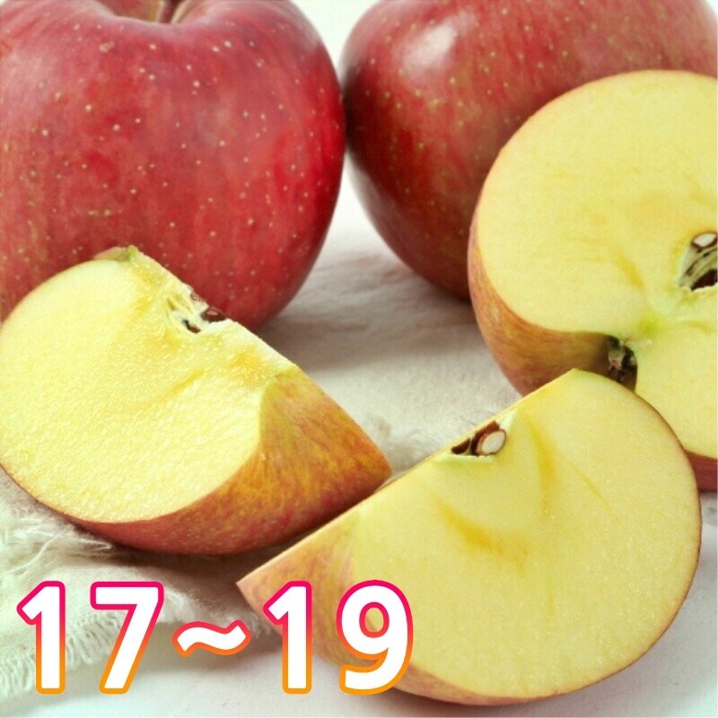 이삭사과농원,청정강원 양구사과 (품종 : 부사 , 수량 : 17 ~ 19과)