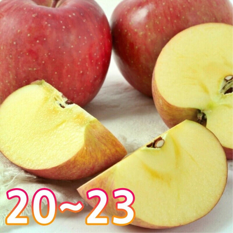 이삭사과농원,청정강원 양구사과(품종 : 부사 , 수량 : 20 ~ 23과)